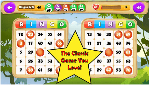 Bingo free games