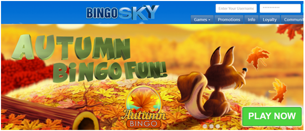 Bingo Sky App