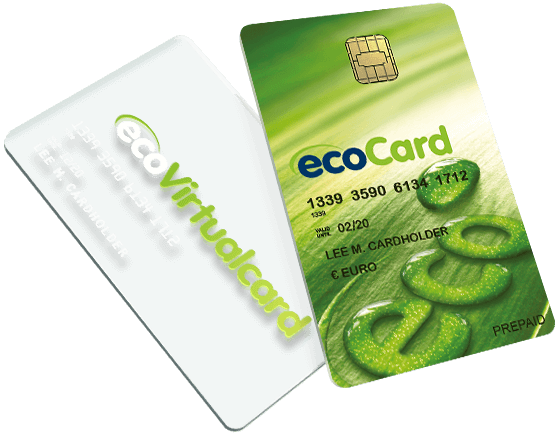 Ecopayz- ewallet