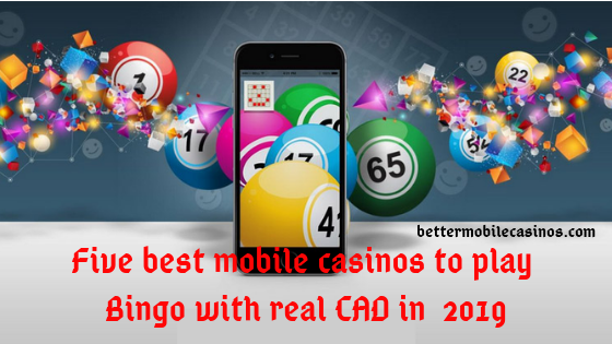 Five best mobile casinos to play Bingo with real CAD in 2019