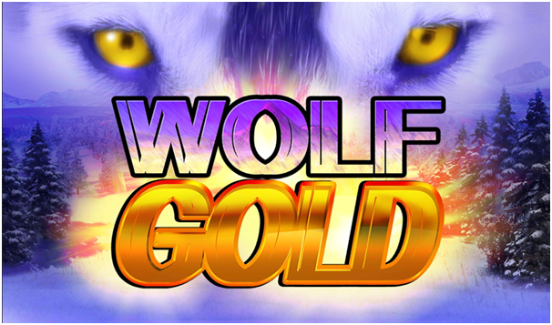 wolf gold